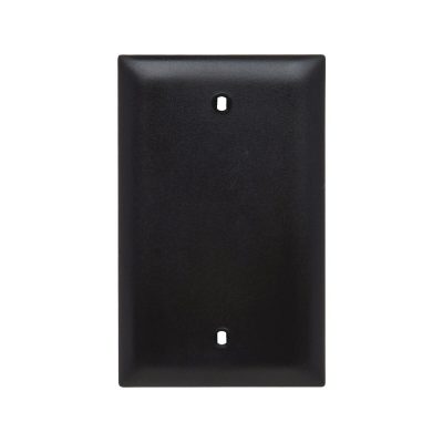 Legrand Pass & Seymour TP13BK – Blank Wall Plate, 1-Gang, Black Nylon