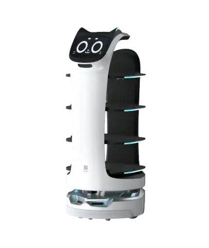 BellaBot